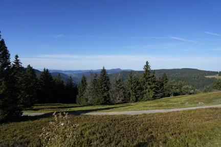  DSC1782