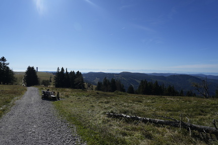  DSC1852